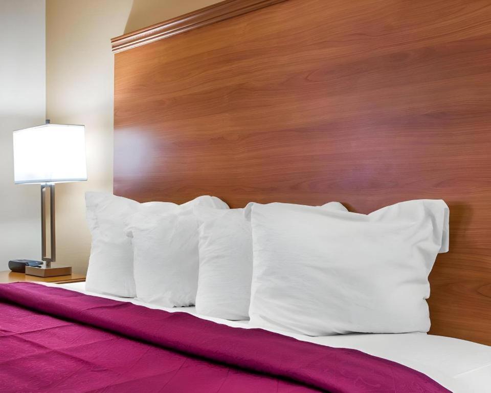 Quality Inn Ottawa Near Starved Rock State Park Zewnętrze zdjęcie
